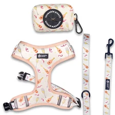 Loveable Pooch Rosé All Day Adjustable Dog Harness Set, Size - S, New