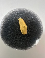 1.45 Gram Mexico Gold Nugget- AU - XRF TESTED 23k+ Specimen- LUCKY NUGGET-smooth