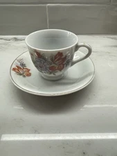 Made In Japan 6 Tea Cups and 6 Saucers Hand Painted