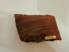 BEAUTIFUL RAINBOW PETRIFIED WOOD MIRROR POLISHED 12.7 OZ. ARIZONA USA