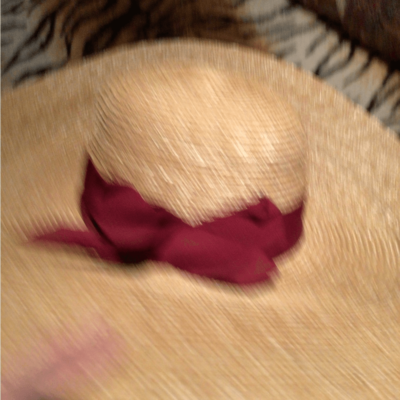 NEW! Rare Wyeth super huge sun hat straw | eBay display picture 1