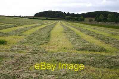 Foto 6x4 Heu oder Silage? Muir of Lochs Whatever it is destined to become c2008