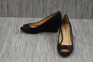 noreen wedge pump