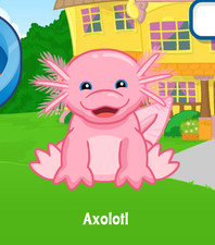 Webkinz Classic Axolotl Virtual PET Adoption Code Only Messaged