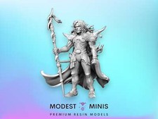 FF Paladin  32mm 28mm DnD Mini  Resin  Dungeons and Dragons