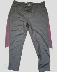 TANGERINE gray leggin pants- size L