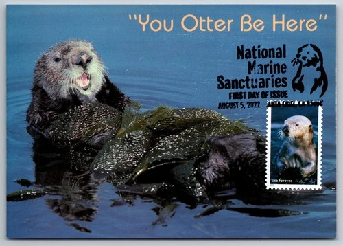 #5713j National Marine Sanctuaries Sea Otter FDC Maxi Card