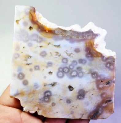 Natural Ocean Jasper Agate Quartz Crystal Stone Slice Mineral Specimen / Stand