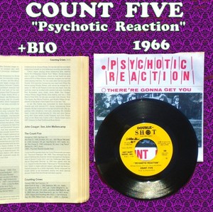 Count Five/Psychotic Reaction オリジナル モノラル Count Five – Psychotic Reaction – Vinyl (LP, Compilation, Mono
