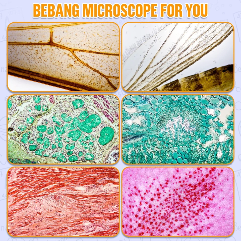 Microscope pour Enfants Mini Microscope 60x-135x Microscope Portable de Labor... - Photo 4/4