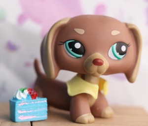 pictures of lps dachshunds