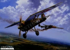Polish airforce PZL P-11c, aviation art post card  Porucznik Stanislaw Skalski