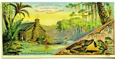 Ayers Ague Cure Quack Medicine Swamp Alligator Frog Lowell MA Malaria Trade Card