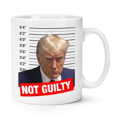 Not Guilty Donald Trump Mug Shot 10oz Becher Tasse Lustig Gefängnis Lock Him Up Gefängnis