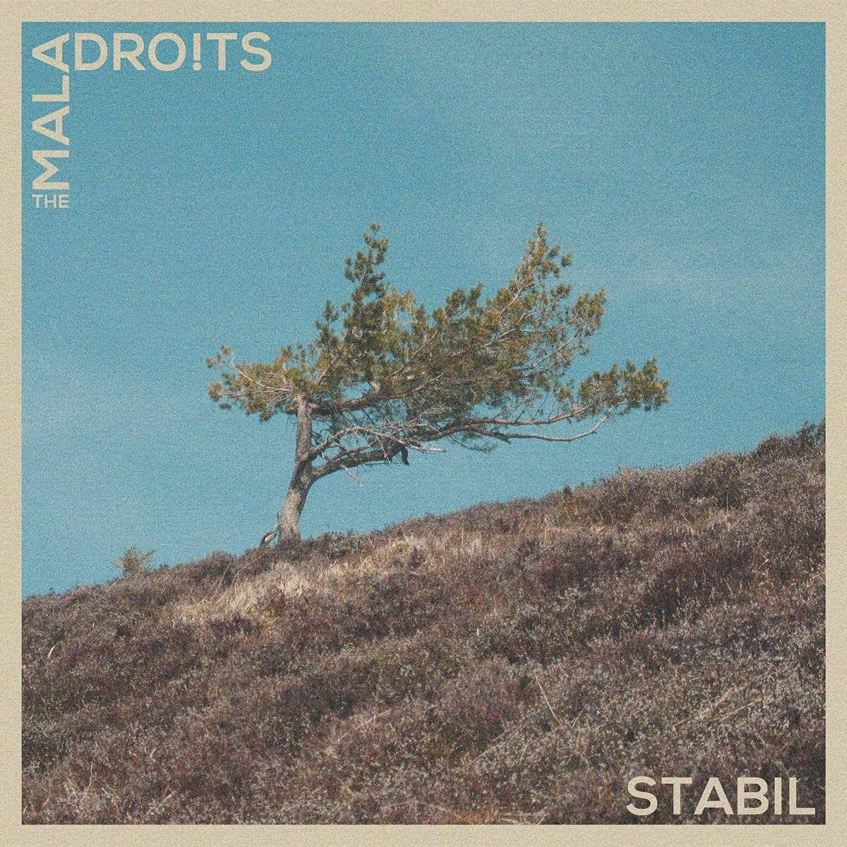 Maladroits,the Stabil (Vinyl LP)