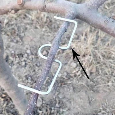 50x Fruit Branch Spreaders Tree Branch Shapers New Branches Growth Forms Support