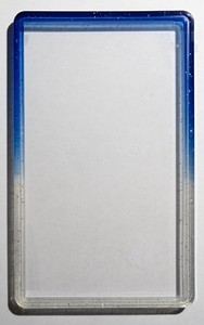 GRADEDGUARD BLUE RASPBERRY | GRADED GUARD PSA LIMITED EDITION