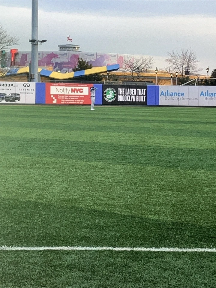 Elijah Green Autographed Baseball Nationals  - Image 3 of 4