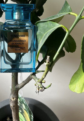 Tom Ford Mandarino Di Amalfi Eau de Parfum Spray 100 ml Limonene Linalool Citral
