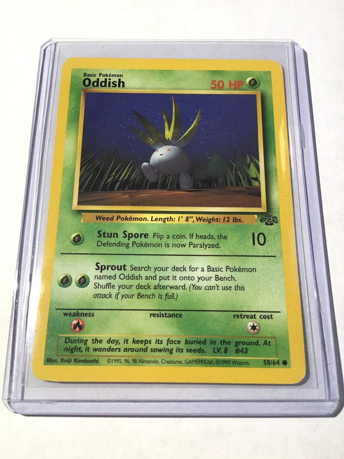 ODDISH - Jungle Set - 58/64 - Common - Pokemon Card - Unlimited Edition - NM