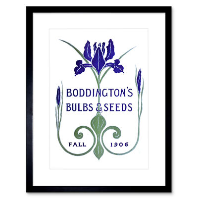 Boddingtons Samen Zwiebeln Herbst 1906 gerahmter Wandkunstdruck 9 x 7 Zoll