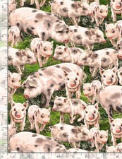 Pig Farm Animal Fabric Sow Piglets Pigs Cotton Timeless Treasures C8338 Yard