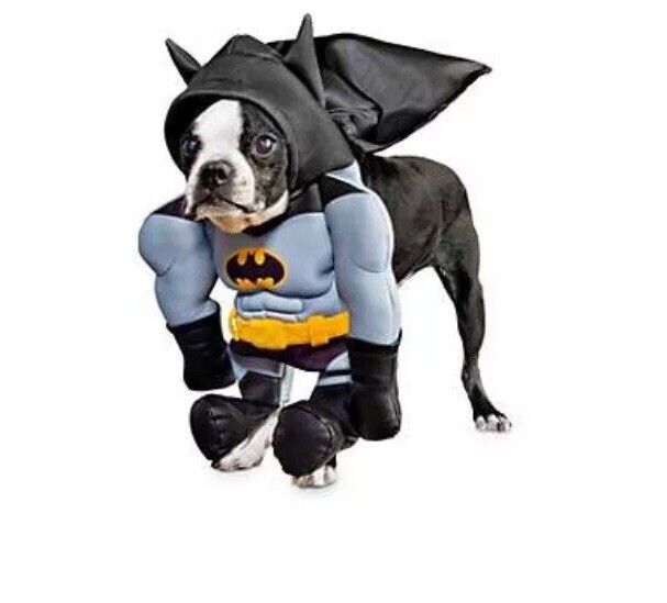 NEW Batman Dog Costume Illusion Size Small B2 eBay