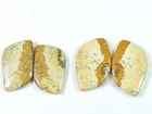 Natural Picture Jasper Matched Pair 02Pcs Fancy Shape Loose Gemstone 21-24MM