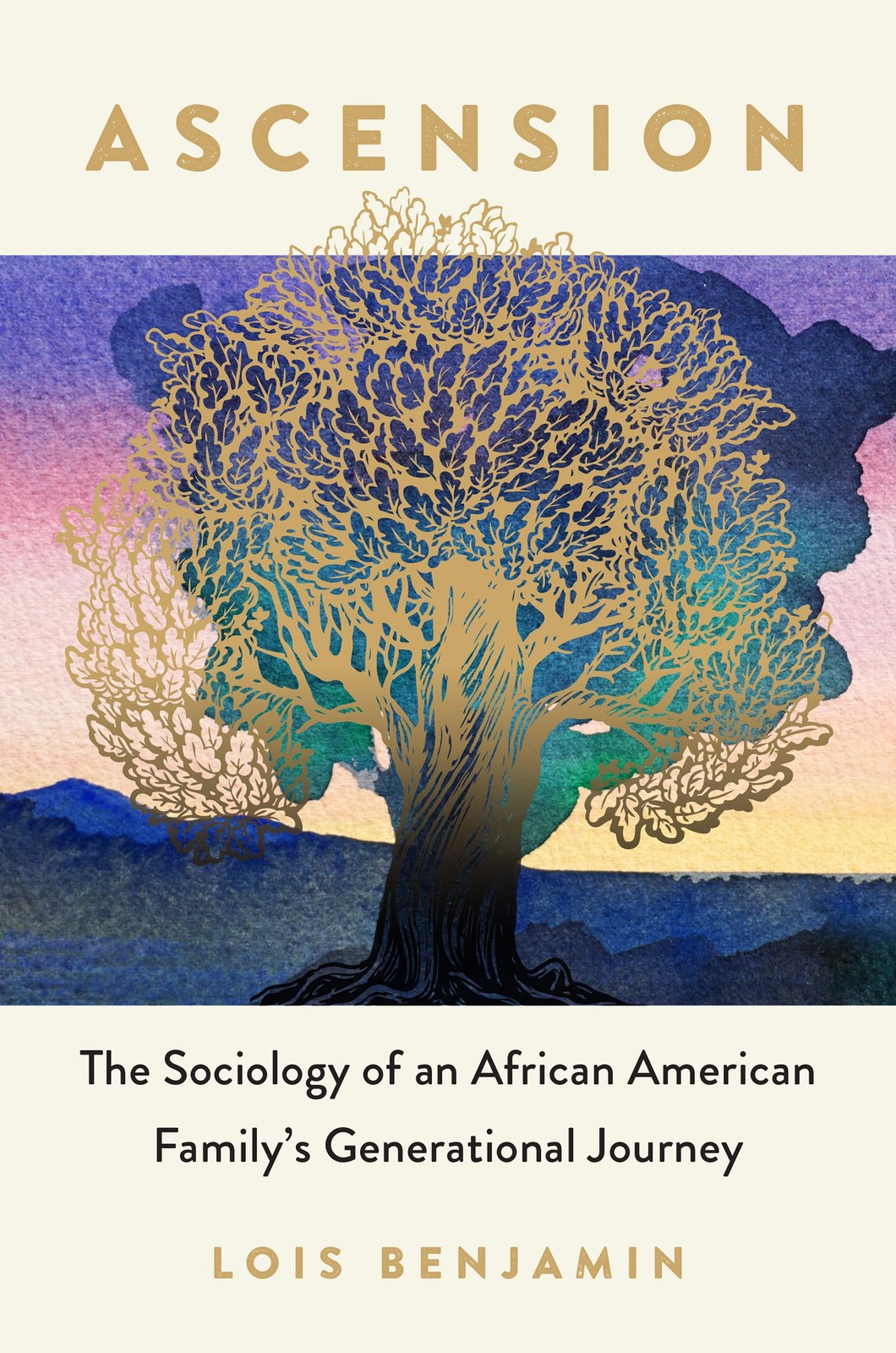 Ascension: The Sociology of an African by Lois Benjamin (author) (PB 2024) - Image 6