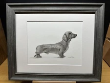 Drawing of a Red Standard Dachshund Dog Male Graphite Pencil Sketch Picture