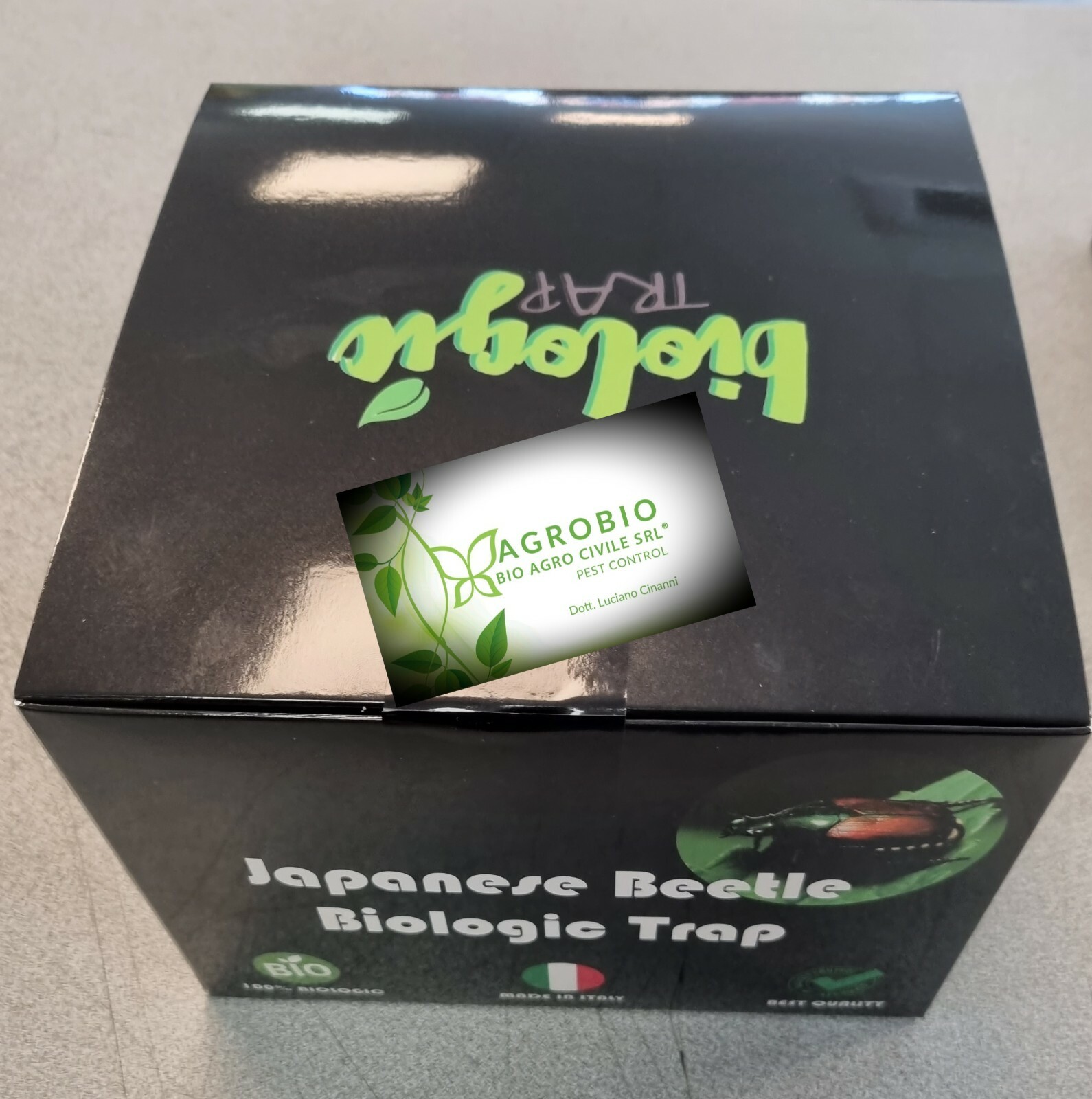 New Insights In Japonica Life - IPM Blog - IPM - Foto 6