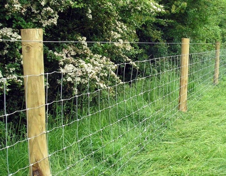 Galvanised fencing deals