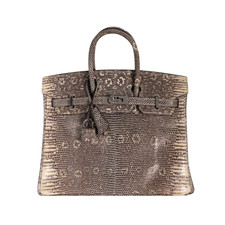 Hermes Birkin 25 Bag Ombre Lizard Palladium Hardware
