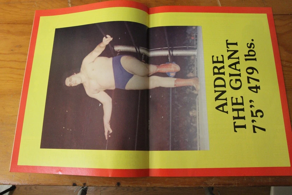 Programa de lucha libre WWF febrero 1983 MSG Bob Backlund Andre el gigante ¡Póster! Foto 4 de 4