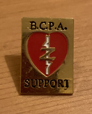 B.C.P.A. Support - Bishop s Cleeve Primary Academy Pin Badge 