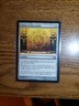 MTG Magic the Gathering Tablet of the Guilds (235/286) Return to Ravnica LP