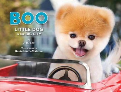 Boo: Little Dog in the Big City - Hardcover By Lee, J.H. - VERY GOOD