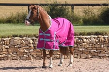 Horse Turnout Rug No Fill Horse Rug Lightweight Waterproof Horse Rug Standard