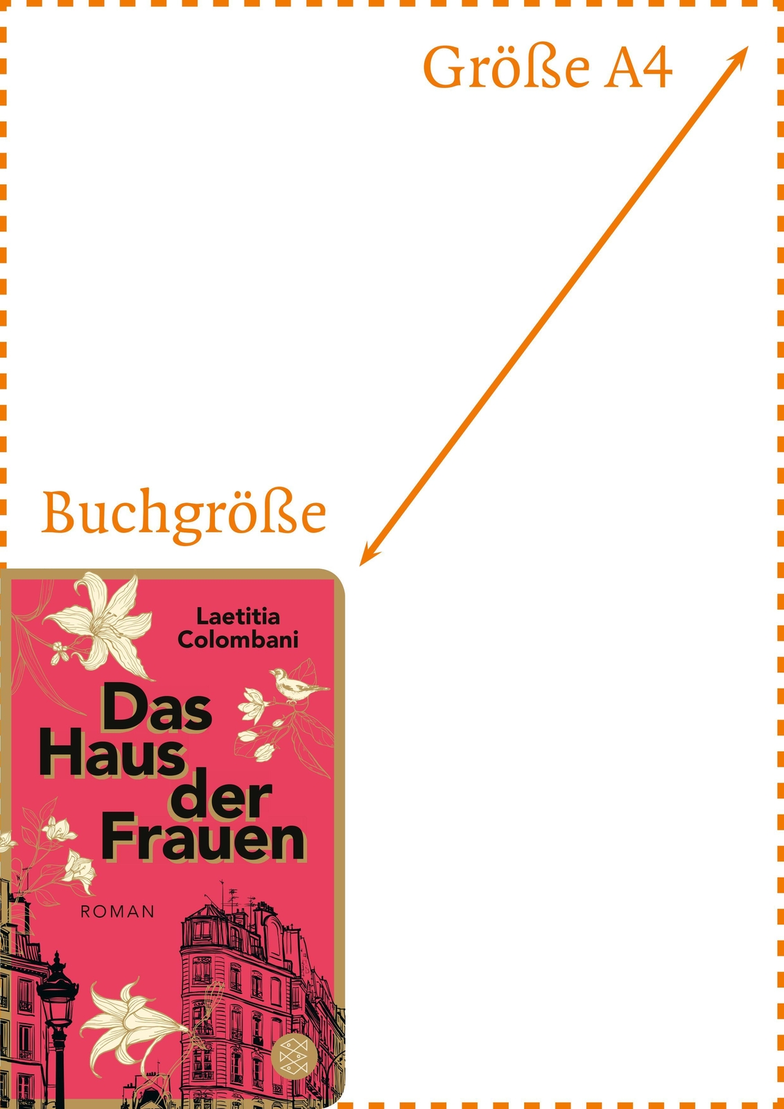 Thumbnail - Das Haus Der Frauen | Roman | Laetitia Colombani | Buch | 256 S. |