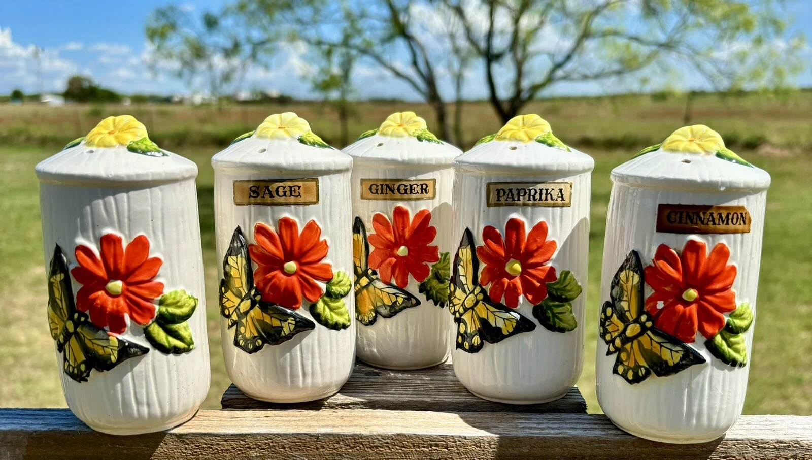 Vintage Spice Set Of 5 white w/butterfly red poppy flower embossment. MCM