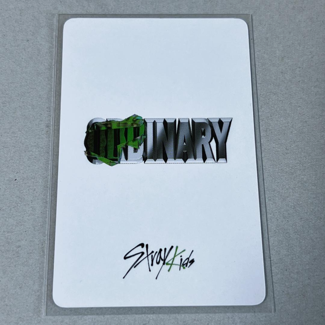 Stray Kids SKZ Bang Chan Photocard PC Oddinary music plant