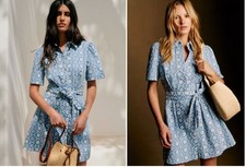 Sézane Gemini Dress in Blue Embroidered Cotton