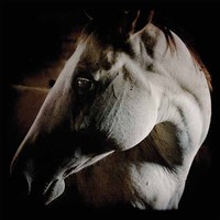 Brother Dege - How To Kill A Horse - Cdd - G3Z