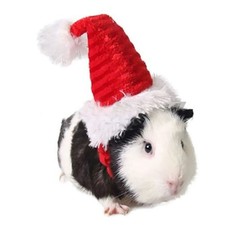 Soft Rabbit Withscarf Christmas Costume Cotton Pet Christmas Hat  Hedgehog