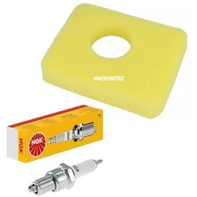 Service Kit Fits Mountfield HP185 SP185 (Briggs 300e) Air Filter NGK Spark Plug