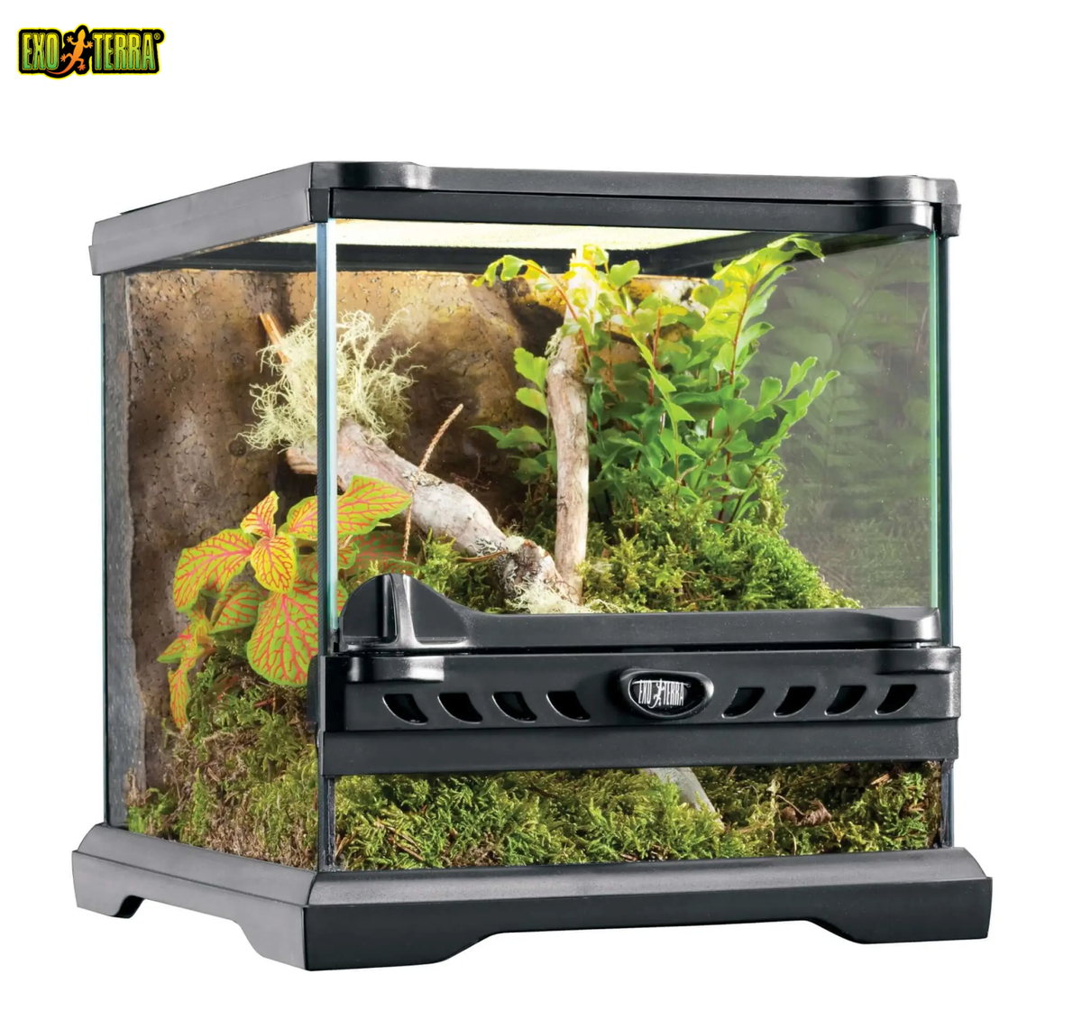 EXO TERRA NANO GLASS TANK MINI REPTILE INVERTEBRATE AMPHIBIAN