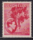 Album Trésors Seychelles Scott #130 9c George VI Coco-de-Mer Paume MH