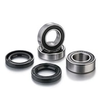 Factory Links RWK-Q-011 Rear Wheel Bearing Kit