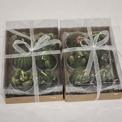 12 Pack Mini Succulent Cactus Tea Light Candles w Mini Terra Cotta Pots Included