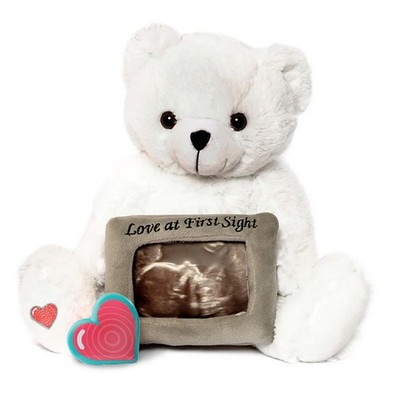 My Baby s Heartbeat Bear, 20 Second Re-Recordable Voice Recorder Plush Keepsa...